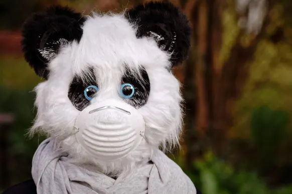 Oppa88888888 Casino Supporto